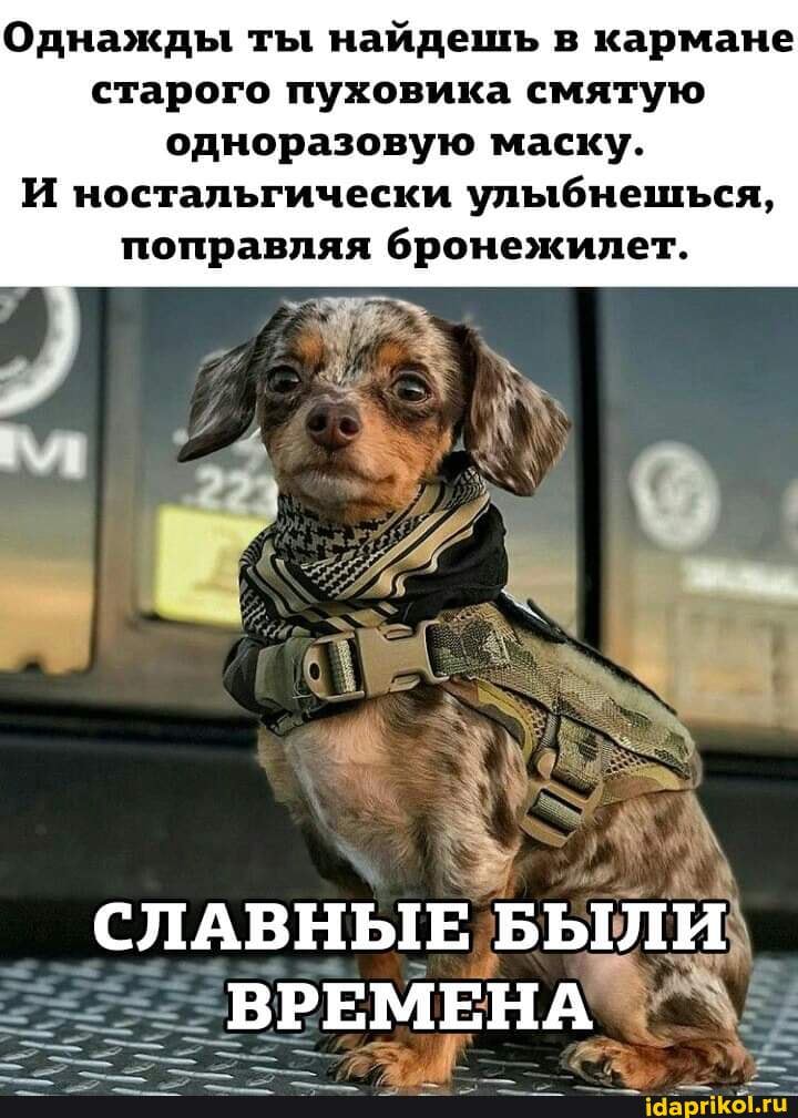 Порно абайлап есекке Сексуалды аққұба қыздардың видеосы