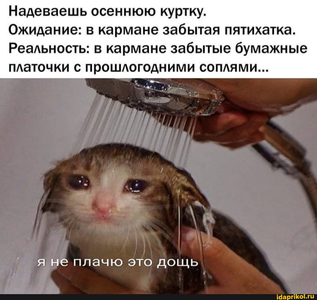 Надеваешь осеннюю куртку.
Ожидание: в кармане забытая пятихатка.
Реальность: в кармане забытые бумажные платочки с прошлогодними соплями...
я не плачю это дощь