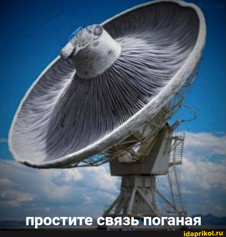 https://cdn.idaprikol.ru/images/2ccbceebfa51ecbbca8316390a936accd3bfb2b63ce3a3970768fbc1799bec20_1.jpg