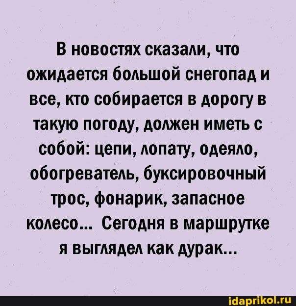 В новостях сказали, что ожидается большой снегопад и все, кто собирается в дорогу в такую погоду, должен иметь с
собой: цепи, лопату, одеяло, обогреватель, буксировочный трос, фонарик, запасное колесо... Сегодня в маршрутке я выглядел как дурак...