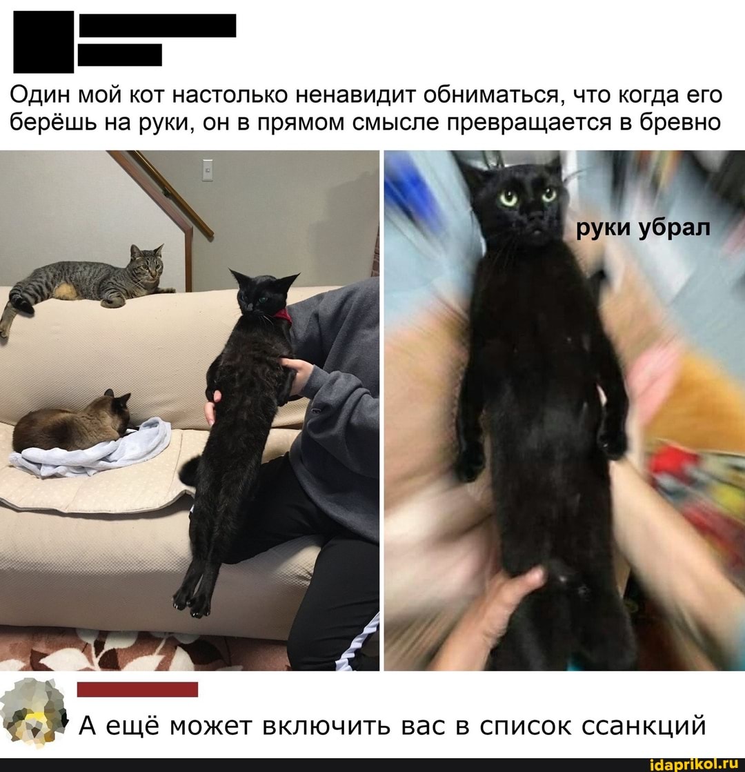 Один мой кот настолько ненавидит обниматься, что когда его берёшь на руки, он в прямом смысле превращается в бревно
руки убра
А ещё может включить вас в список ссанкций