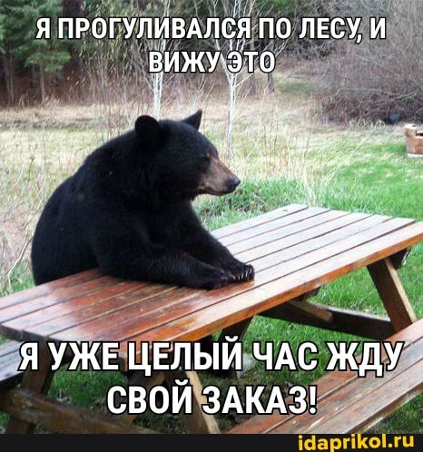 Я ПРОГУЛИВАЛСЯ ПО ЛЕСУ, И ВИЖУ Это
Я УЖЕ ЦЕЛЫЙ ЧАС ЖДУ СВОЙ ЗАКАЗ!