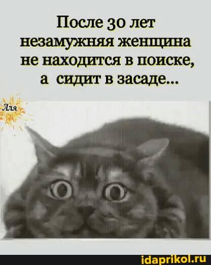 После 30 лет незамужняя женщина не находится в поиске,
а сидит в засаде...