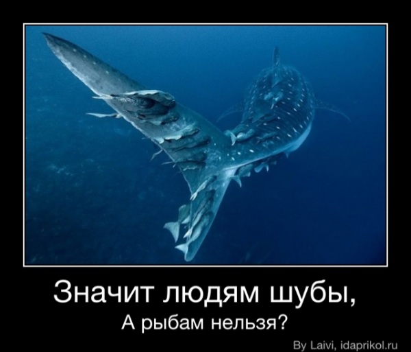 Значит людям шубы,
А рыбам нельзя? - Значит людям шубы,
А рыбам нельзя?