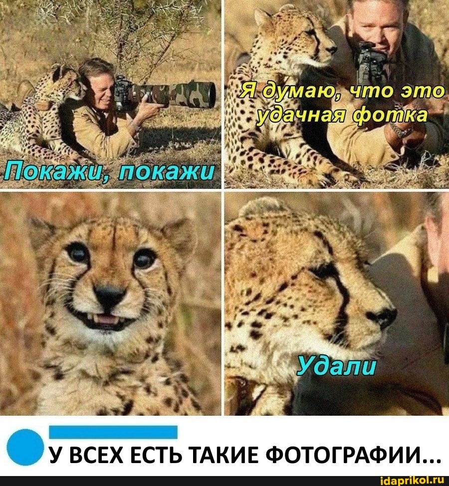 ВСЕХ ЕСТЬ ТАКИЕ ФОТОГРАФИИ...