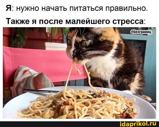 Я: нужно начать питаться правильно.
Также я после малейшего стресса:
[#безграниц.