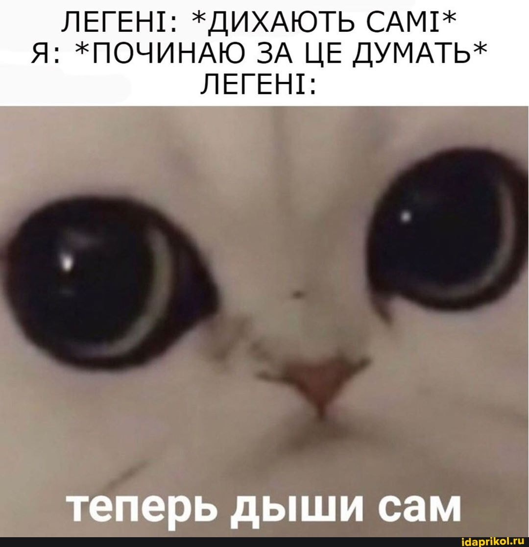 ЛЕГЕНТ:
теперь дыши сам