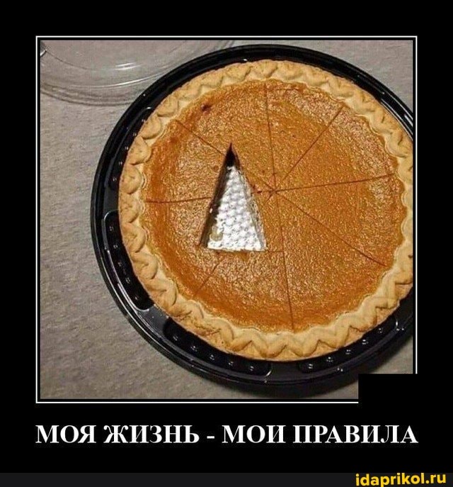 МОЯ ЖИЗНЬ - МОИ ПРАВИЛА