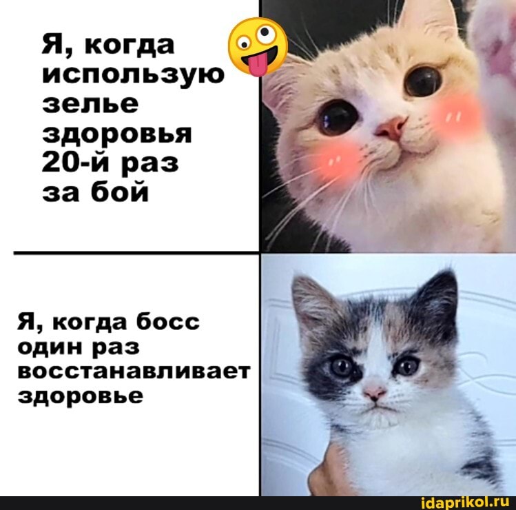 Я, когда использую зелье здоровья
20-й раз за бой
Я, когда босс один раз восстанавливает здоровье