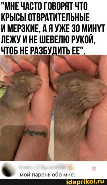 "МНЕ ЧАСТО ГОВОРЯТ ЧТО КРЫСЫ ОТВРАТИТЕЛЬНЫЕ
ИМЕРЗКИЕ, А Я УЖЕ 30 МИНУТ ЛЕЖУ ИНЕ ШЕВЕЛЮ РУКОЙ,
ЧТОБ НЕ РАЗБУДИТЬ ЕЕ".
мой парень обо мне: