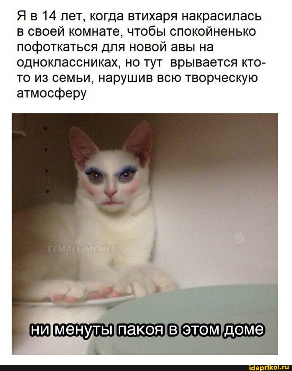 Яв 14 лет, когда втихаря накрасилась
в своей комнате, чтобы спокойненько
пофоткаться для новой авы на
одноклассниках, но тут врывается кто-
то из семьи, нарушив всю творческую
атмосферу