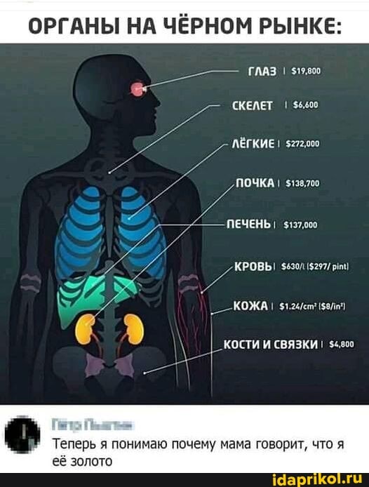 ОРГАНЫ НА ЧЕРНОМ РЫНКЕ
ГЛАЗ
СКЕЛЕТ $5400
ЛЁГКИЕ! $27адоо
ПОЧКА! $138.70.
ПЕЧЕНЬ!
КРОВЬ!
КОЖА
\ _ КОСТИ И СВЯЗКИ $4.80
Теперь я понимаю почему мама говорит, что я
её золото
