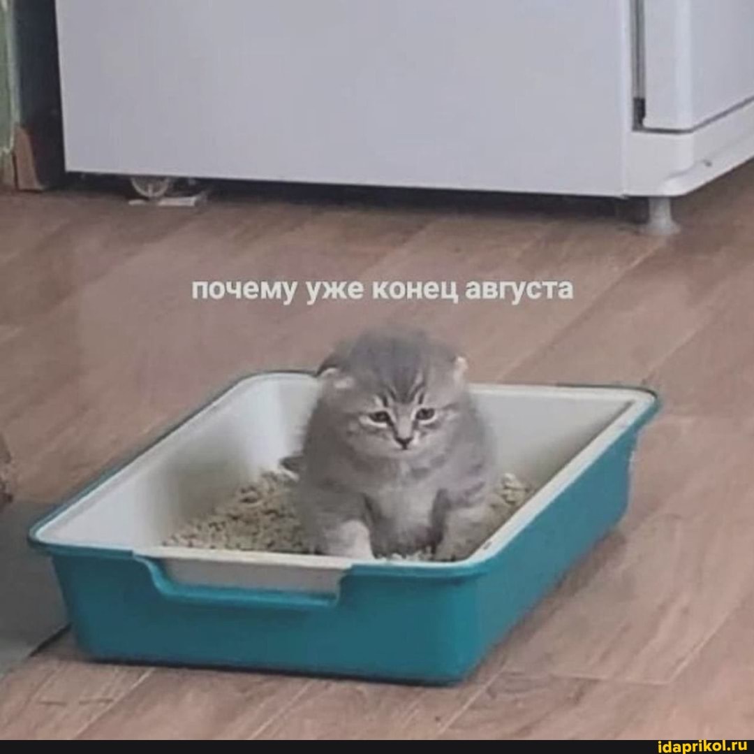 почему конец августа