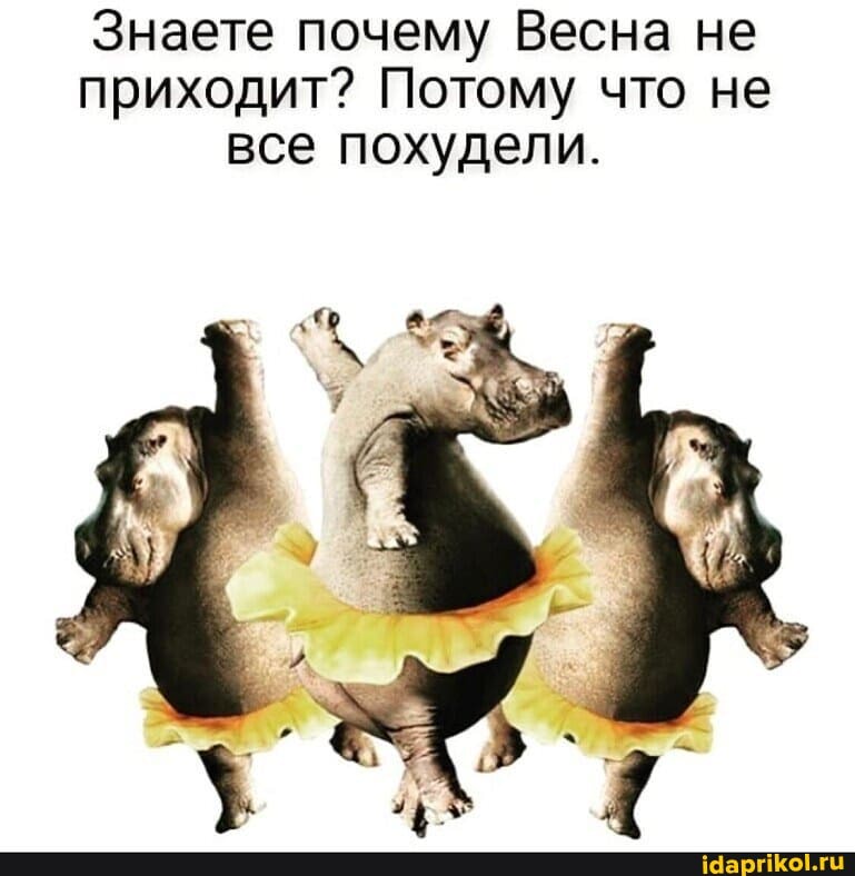 Знаете почему Весна не приходит? Потому что не все похудели.