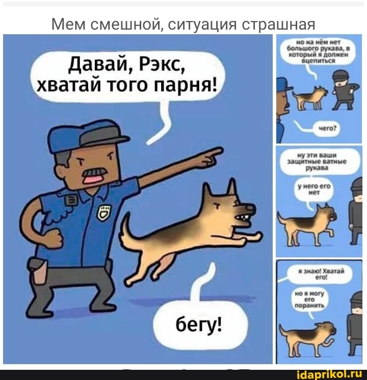 Мем смешной, ситуация страшная
Давай, Рэкс,
хватай того парня!