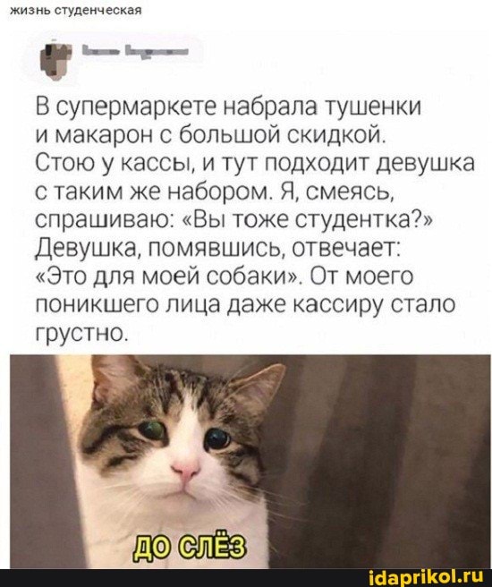 жизнь студенческая
В супермаркете набрала тушенки
и макарон с большой скидкой.
Стою у кассы, и тут подходит девушка с таким же набором. Я, смеясь, спрашиваю: "Вы тоже студентка?"
Девушка, помявшись, отвечает:
"Это для моей собаки". От моего поникшего лица даже кассиру стало грустно.