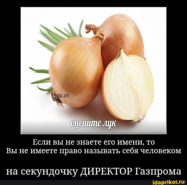 Если вы не знаете его имени, то
Вы не имеете право называть себя человеком
на секундочку ДИРЕКТОР Газпрома