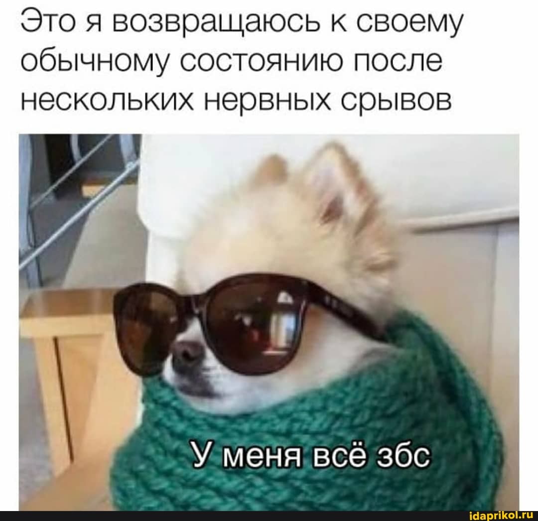 Это я возвращаюсь к своему обычному состоянию после
нескольких нервных срывов
У меня всё збс