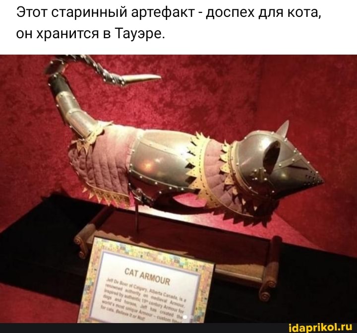 Этот старинный артефакт - доспех для кота, он хранится в Тауэре.