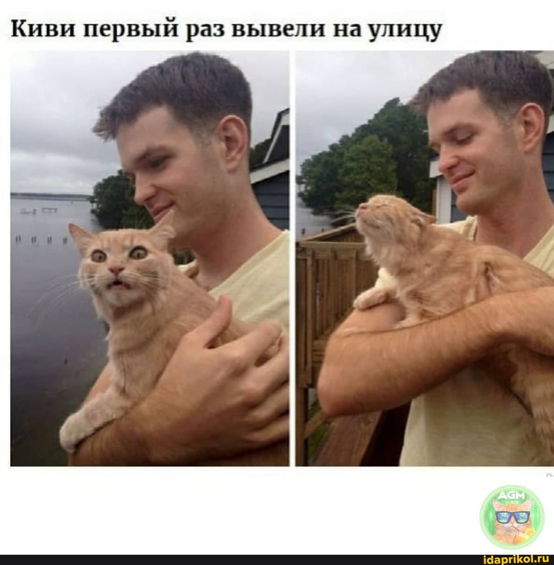 Киви первый раз вывели на улицу