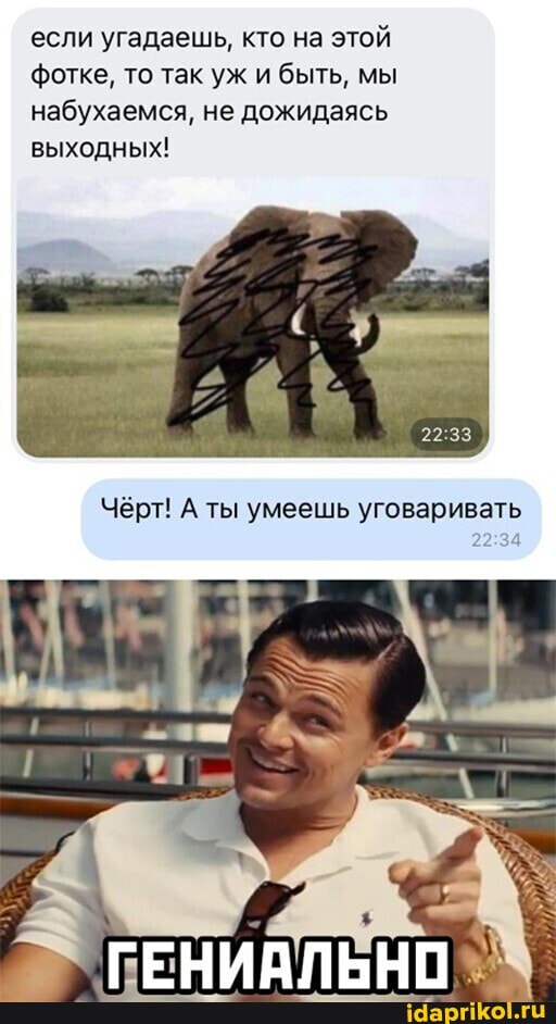 если угадаешь, кто на этой фотке, то так уж и быть, мы набухаемся, не дожидаясь выходных!
Чёрт! А ты умеешь уговаривать
ГЕНИАЛЬНО