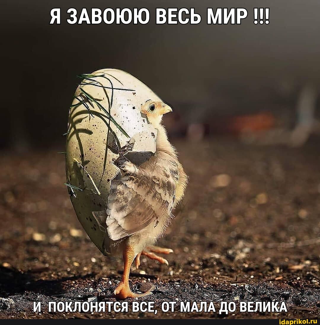 Я ЗАВОЮЮ ВЕСЬ МИР
И ПОКЛОНЯТСЯ ВСЕ, ОТ МАЛА ДО ВЕЛИКА
