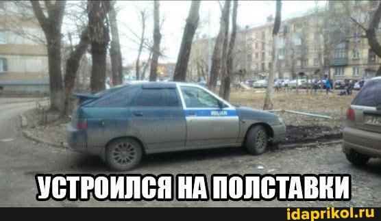 УСТРОИЛСЯ НА ПОЛСТАВКИ