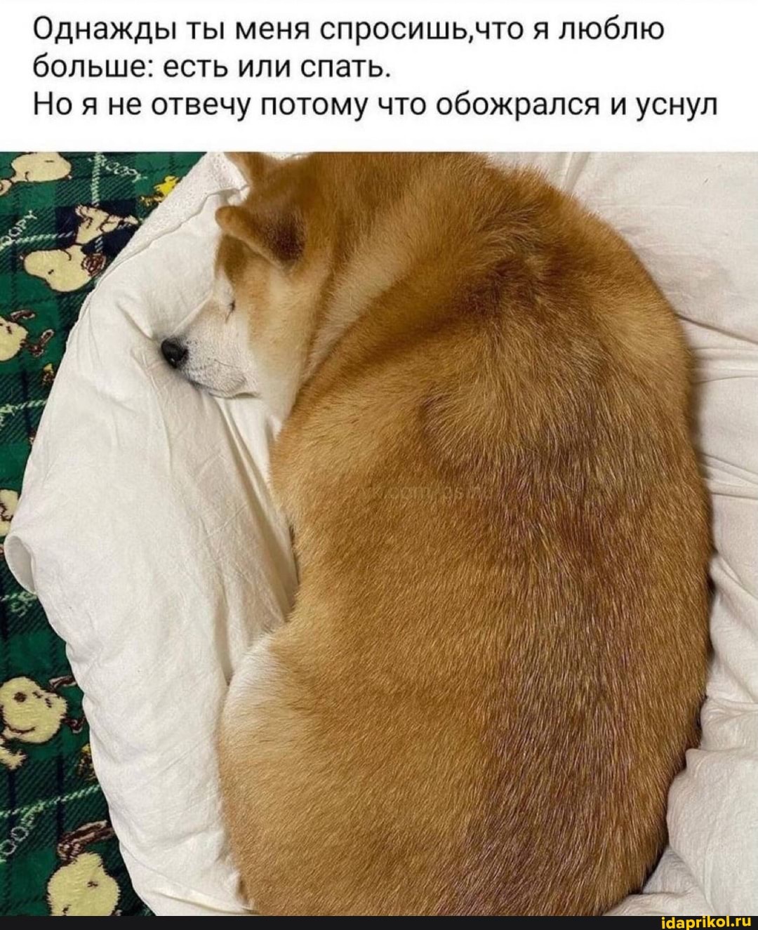 Однажды ты меня спросишьчто я люблю больше: есть или спать.
Но не отвечу потому что обожрался и уснул
