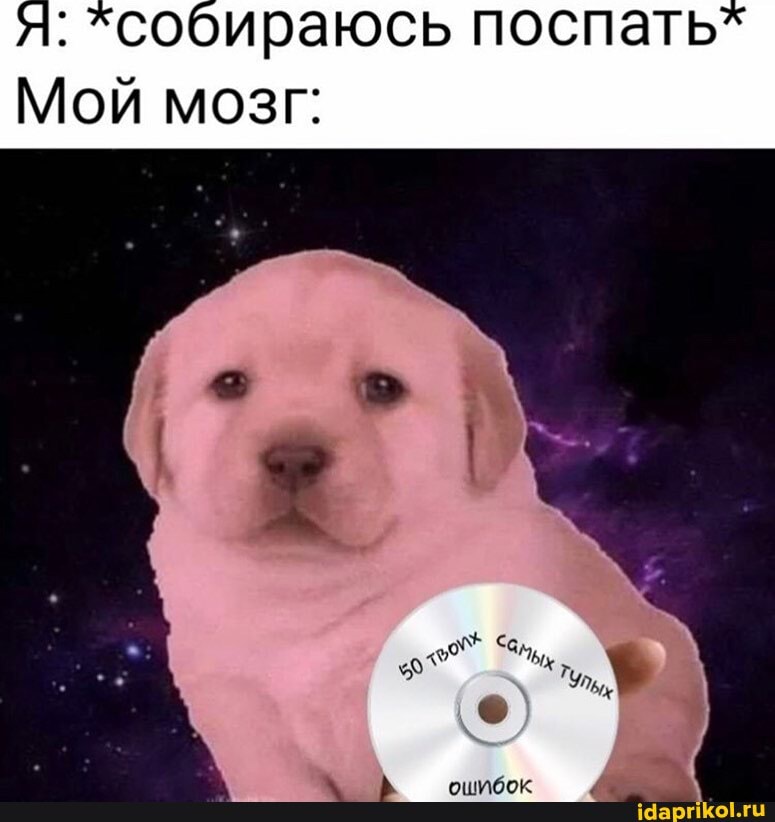 я: *собираюсь поспать"
Мой мозг:
