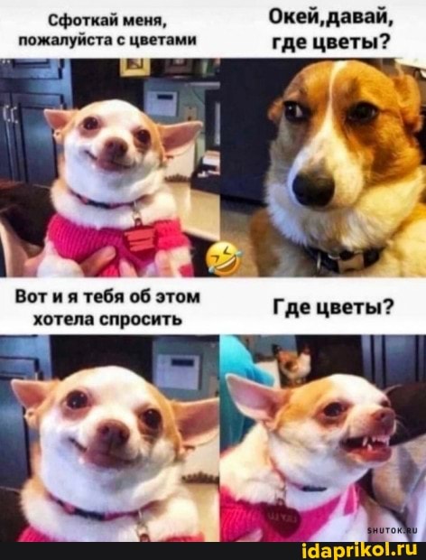 Сфоткай меня, Окей, давай, пожалуйста с цветами где цветы?
Вотия тебя об этом Где цветы? хотела спросить