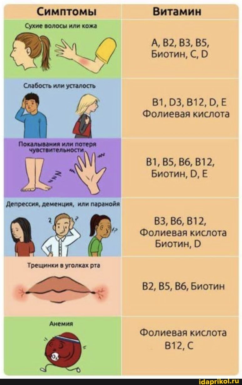 Cumntombi
ЕЕ
Витамин
Фолиевая кислота
Фолиевая кислота
Фолиевая кислота
