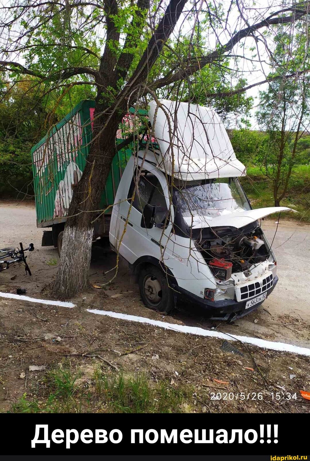 Дерево помешало!!! - Дерево помешало!!!