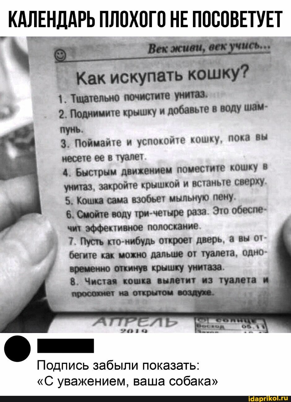 ПОСОВЕТУЕТ
искупать
Как
1. Тщательно почистите унитаз,
2. Поднимите крышку и добавьте в воду шам-
Поймайте и успокойте кошку, пока вы несете ее в туалет
4. Быстрым движением поместите кошку в унитаз, закройте крышкой и встаньте сверху.
5. Кошка сама взобьет мыльную пену.
6. Смойте воду три-четыре раза. Это обеспе- чит эффективное полоскание.
7. Пусть кто-нибудь откроет дверь, а вы от- бегите как можно дальше от туалета, одно- временно откинув крышку унитаза.
8. Чистая кошка вылетит из туалета
Подпись забыли показать:
"С уважением, ваша собака"