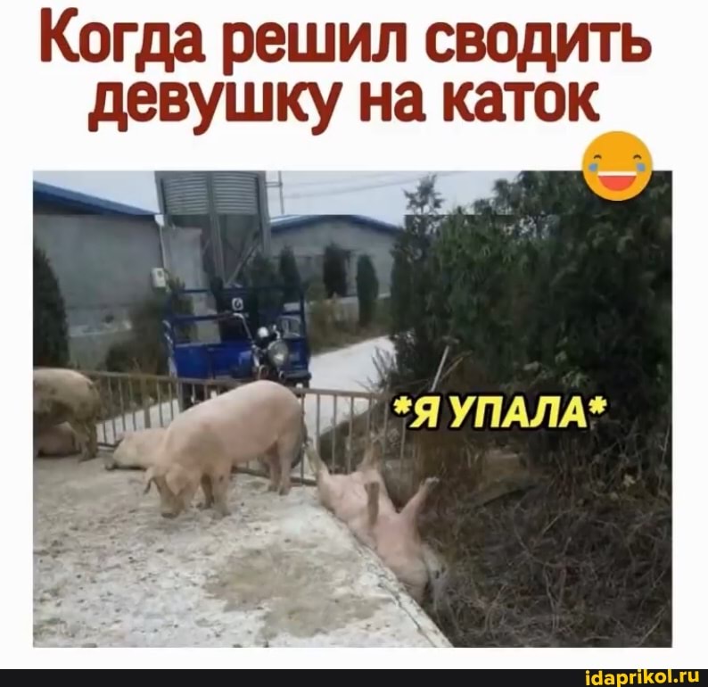 Когда решил сводить девушку на каток