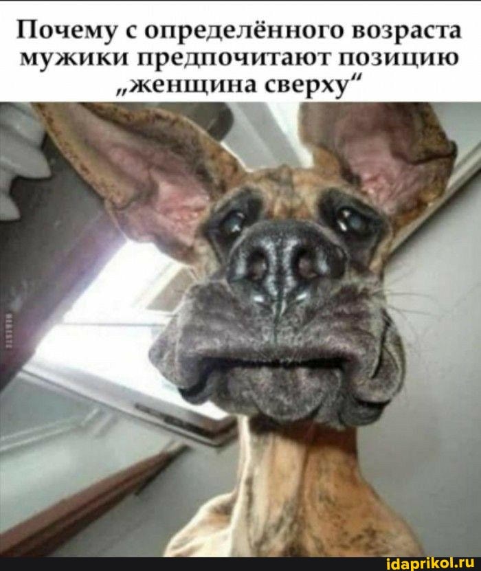Почему с определённого возраста мужики предпочитают позицию
"женщина сверху"