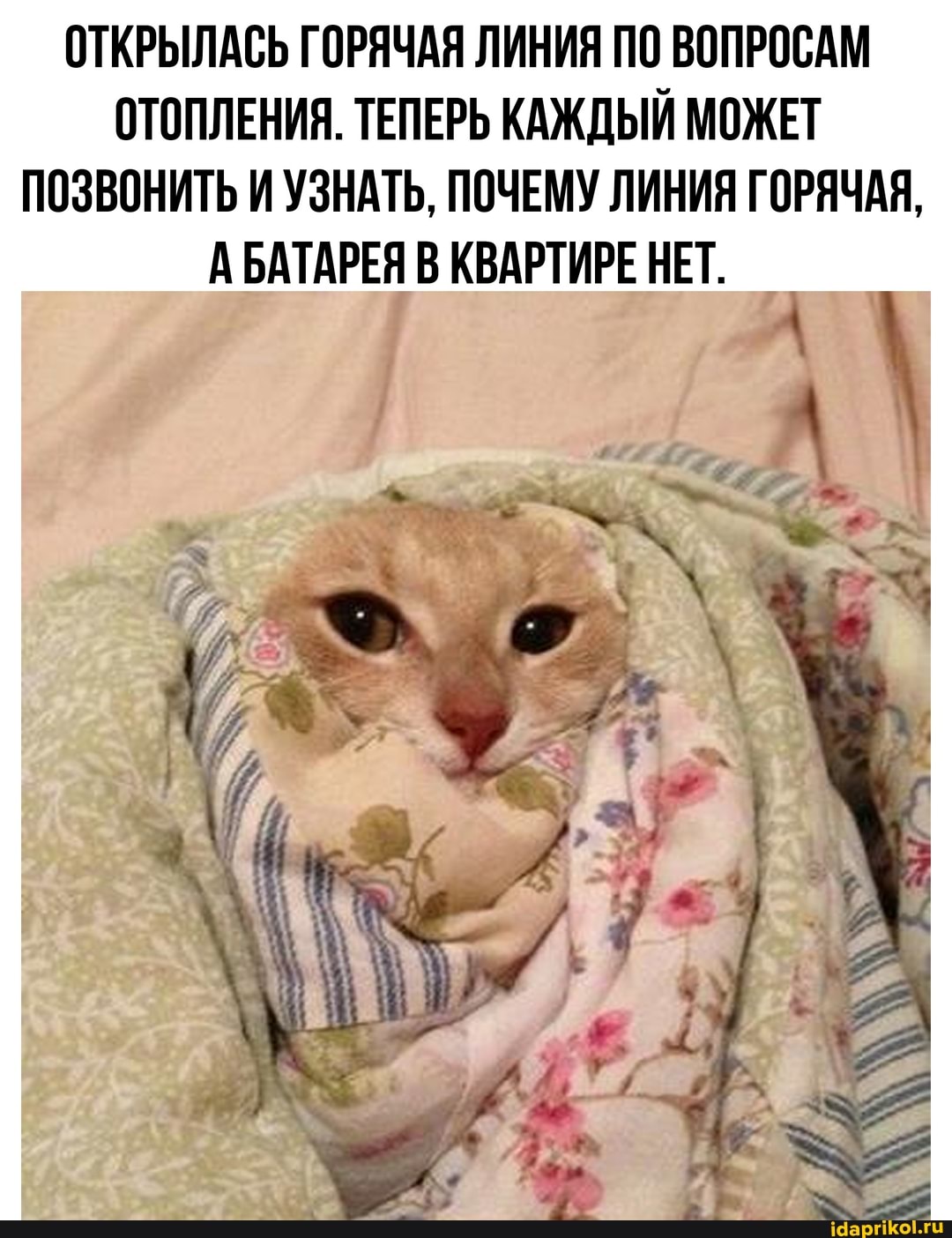 ОТКРЫЛАСЬ ГОРЯЧАЯ ЛИНИЯ ПО ВОПРОСАМ ОТОПЛЕНИЯ. ТЕПЕРЬ КАЖДЫЙ МОЖЕТ ПОЗВОНИТЬ И УЗНАТЬ, ПОЧЕМУ ЛИНИЯ ГОРЯЧАЯ,
А БАТАРЕЯ КВАРТИРЕ НЕТ.