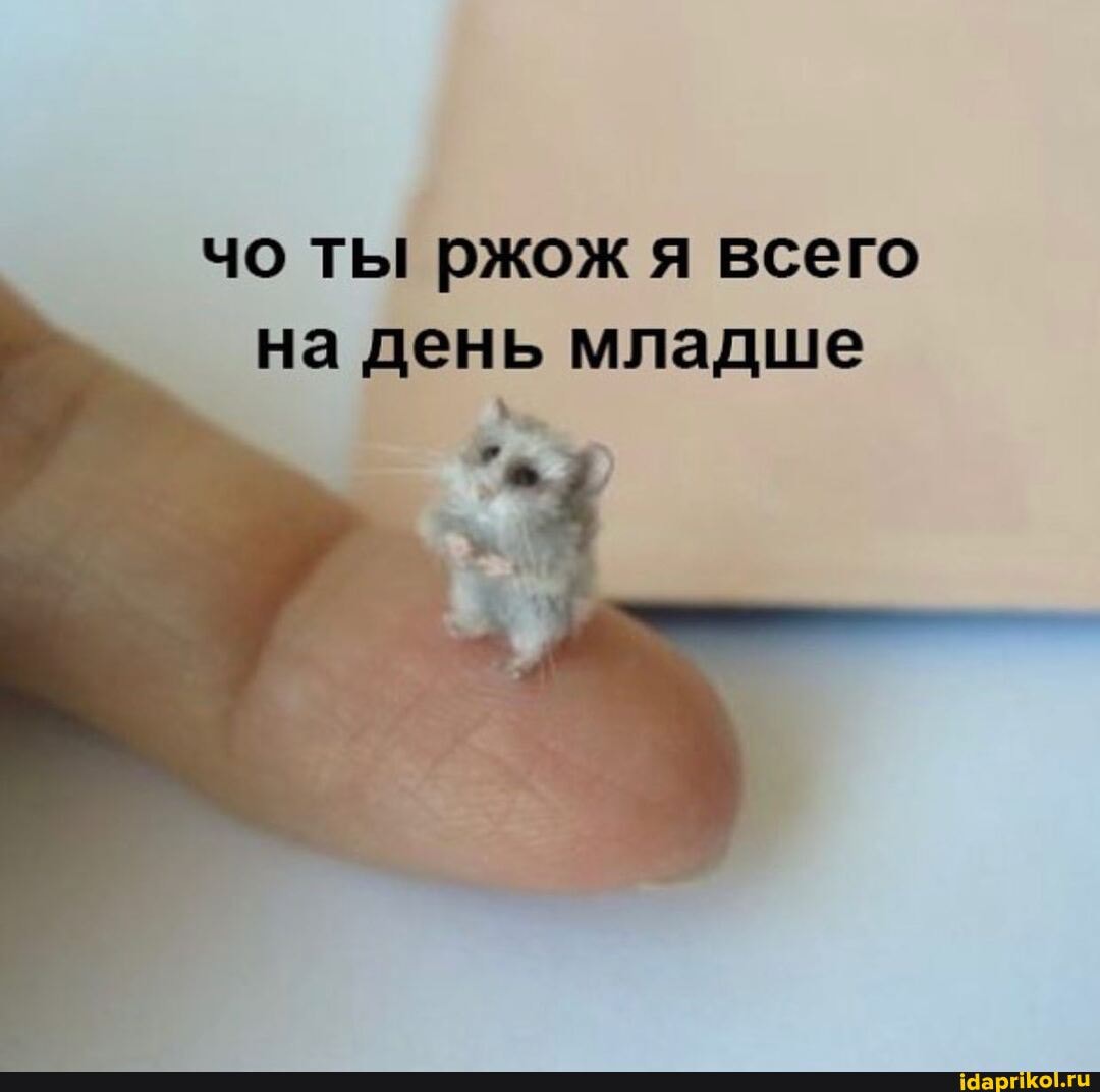 чо ты ржож я всего на день младше