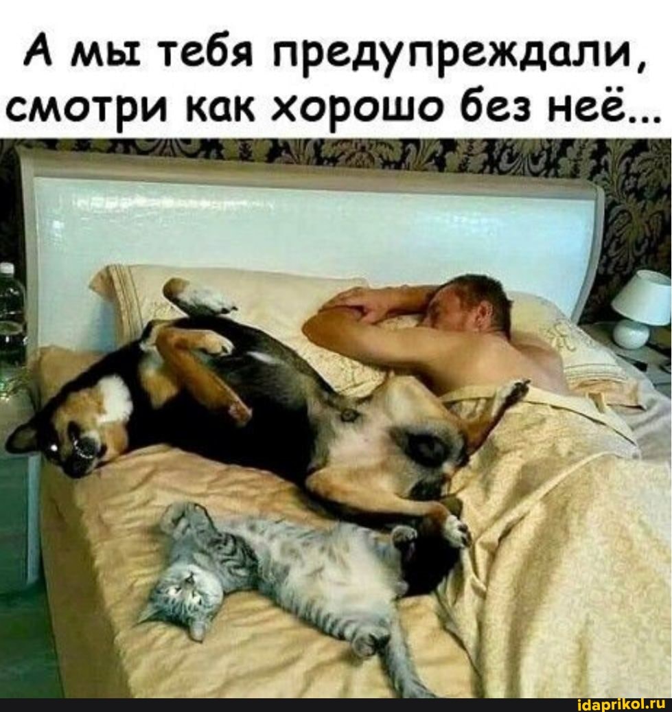 А мы тебя предупреждали, смотри как хорошо без нее...