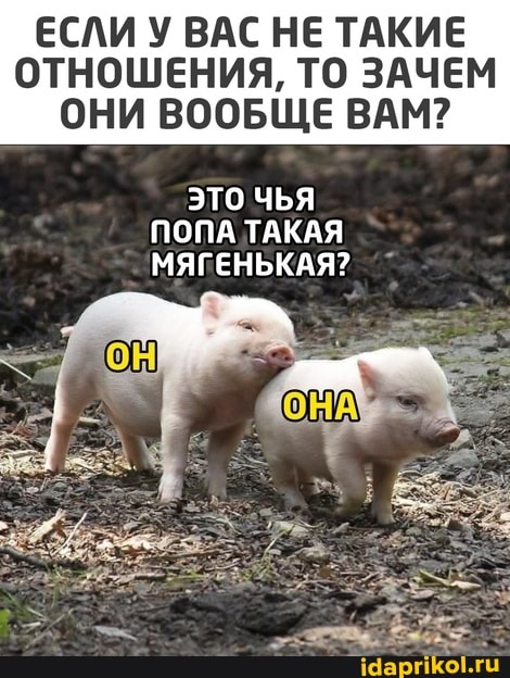 ЕСЛИ У ВАС НЕ ТАКИЕ ОТНОШЕНИЯ, ТО ЗАЧЕМ ОНИ ВООБЩЕ ВАМ?
ЭТО ЧЬЯ ПОПА ТАКАЯ
МЯГЕНЬКАЯ?