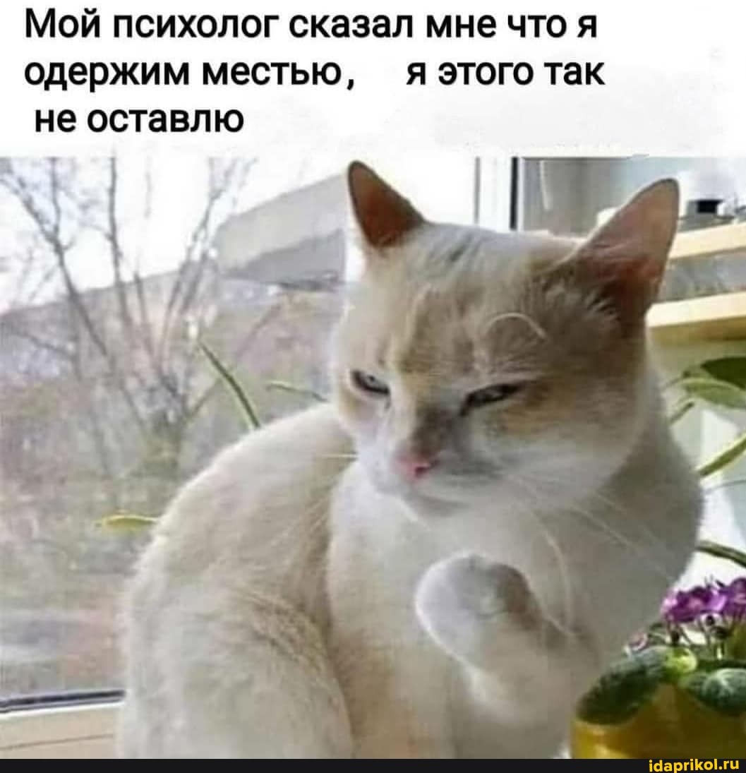 Мой психолог сказал мне что я одержим местью, я этого так не оставлю