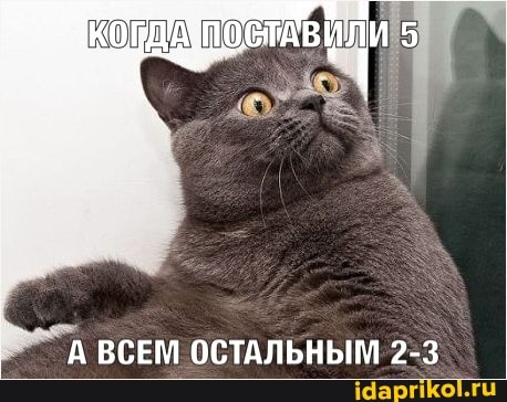 А ВСЕМ ОСТАЛЬНЫМ 2-3