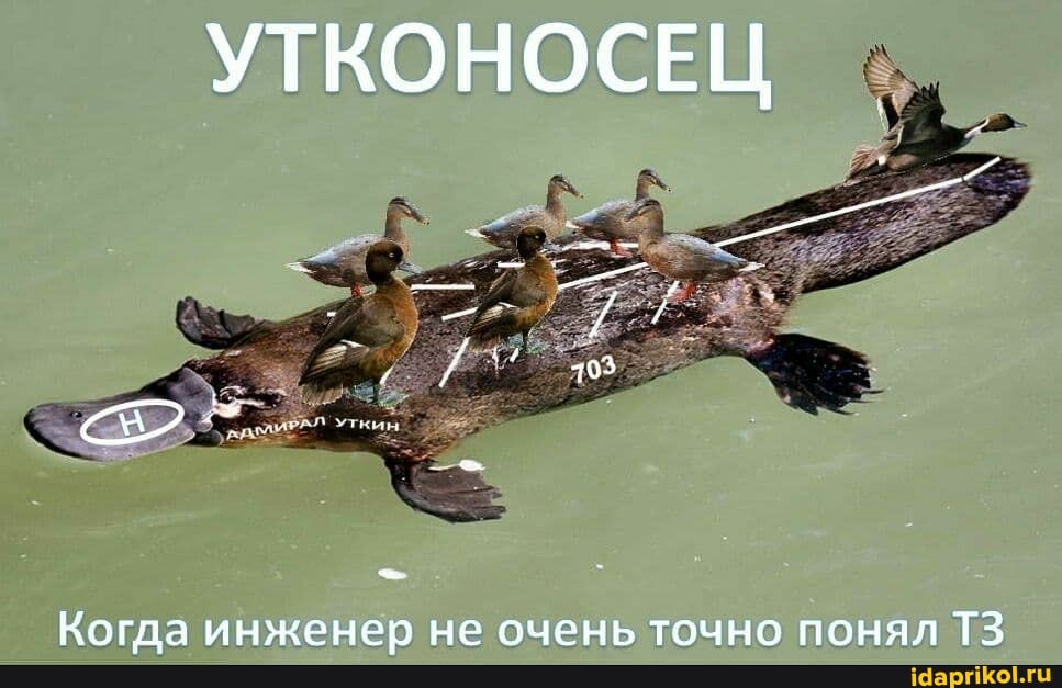 УТКОНОСЕЦ
Когда инженер не очень точно понял