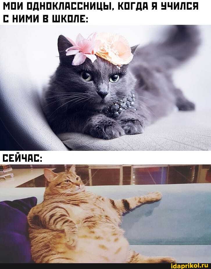 МОИ ОДНОКЛАССНИЦЫ, КОГДА Я УЧИЛСЯ С НИМИ В ШКОЛЕ:
СЕЙЧАС: