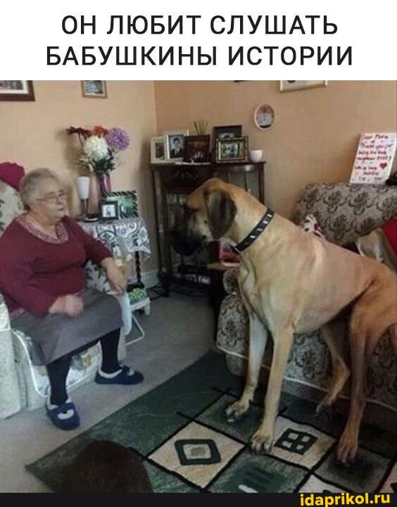 ОН ЛЮБИТ СЛУШАТЬ БАБУШКИНЫ ИСТОРИИ
