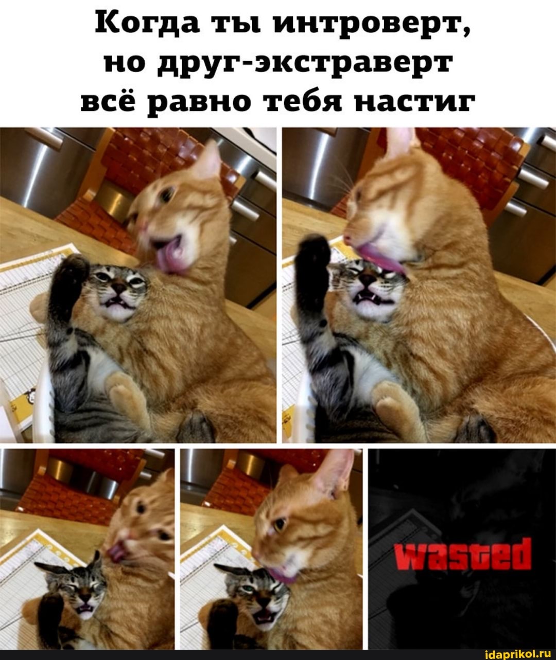 Когда ты интроверт, но друг-экстраверт всё равно тебя настиг