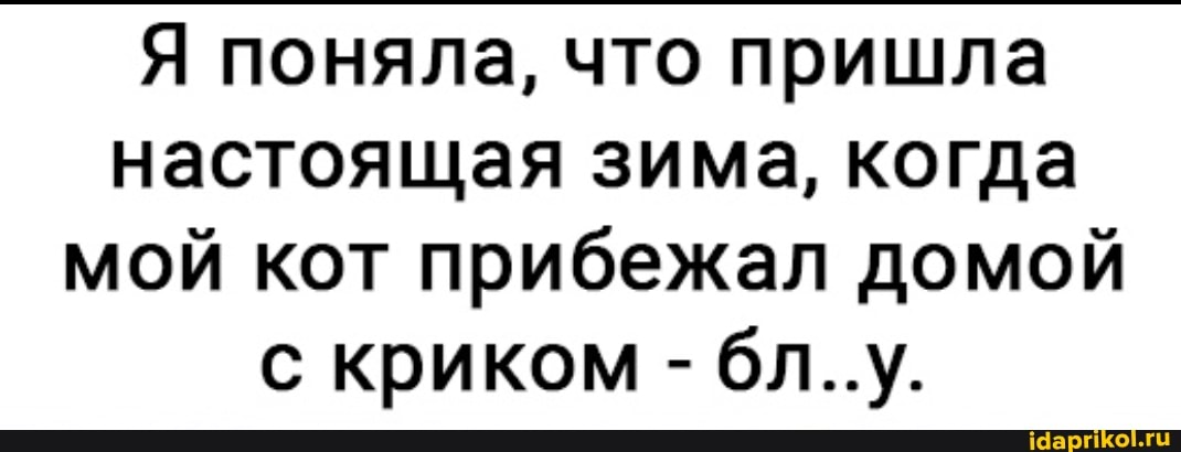 Я поняла, что пришла настоящая зима, когда мой кот прибежал домой с криком - бл..у.