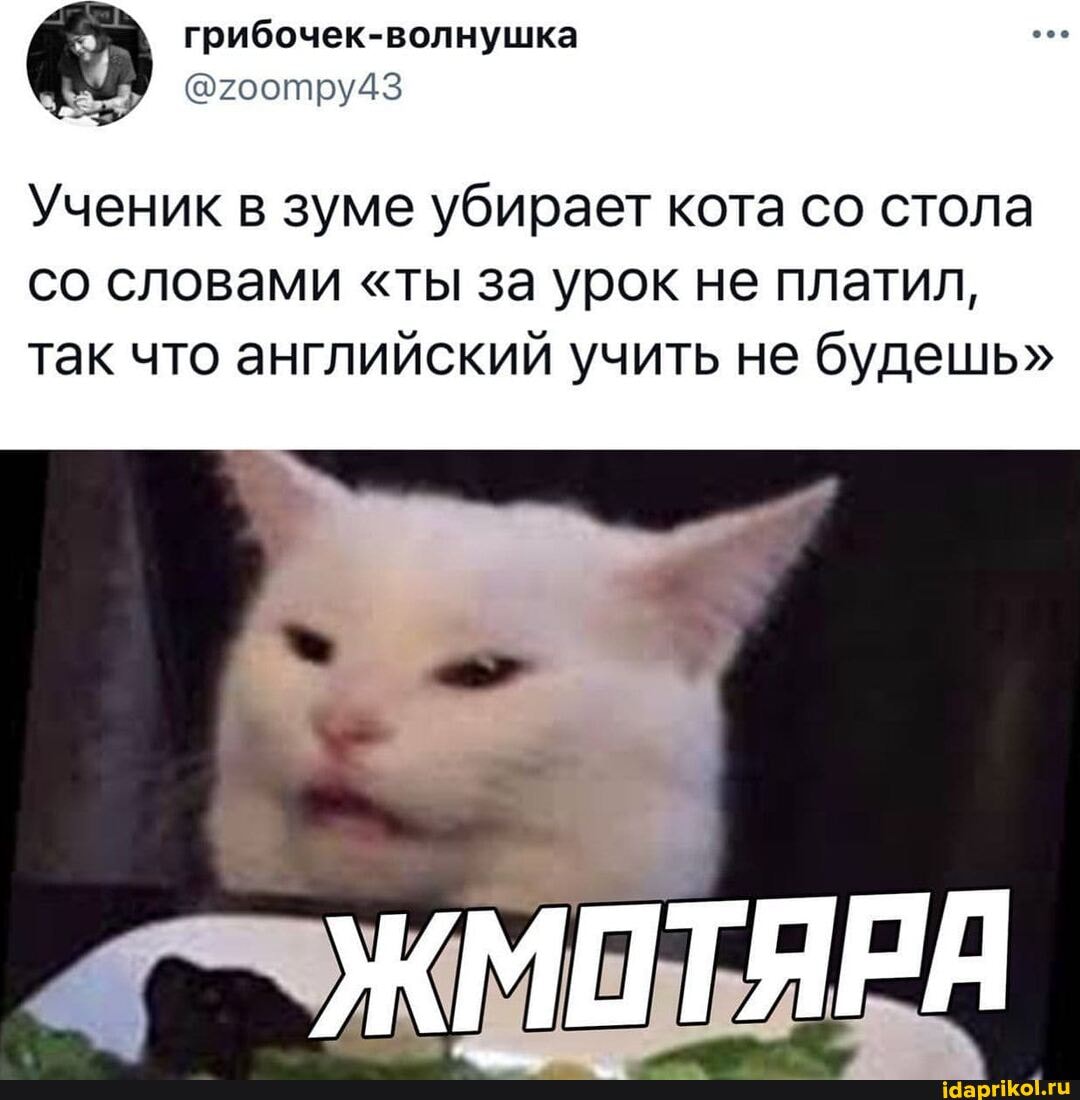 грибочек-волнушка
Ученик в зуме убирает кота со стола со словами "ты за урок не платил, так что английский учить не будешь"