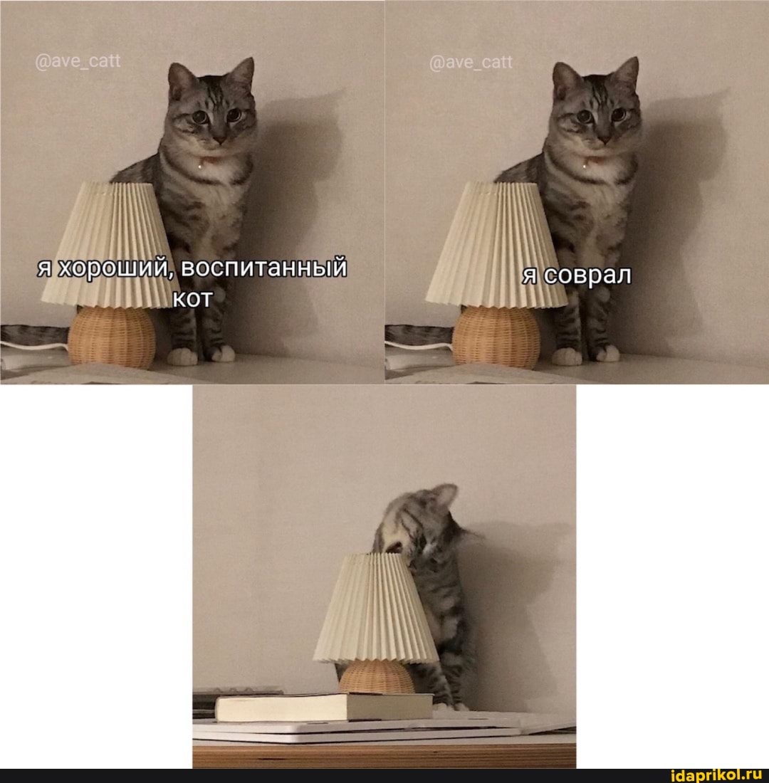@ауе_сай
я хороший, воспитанный я соврал кот