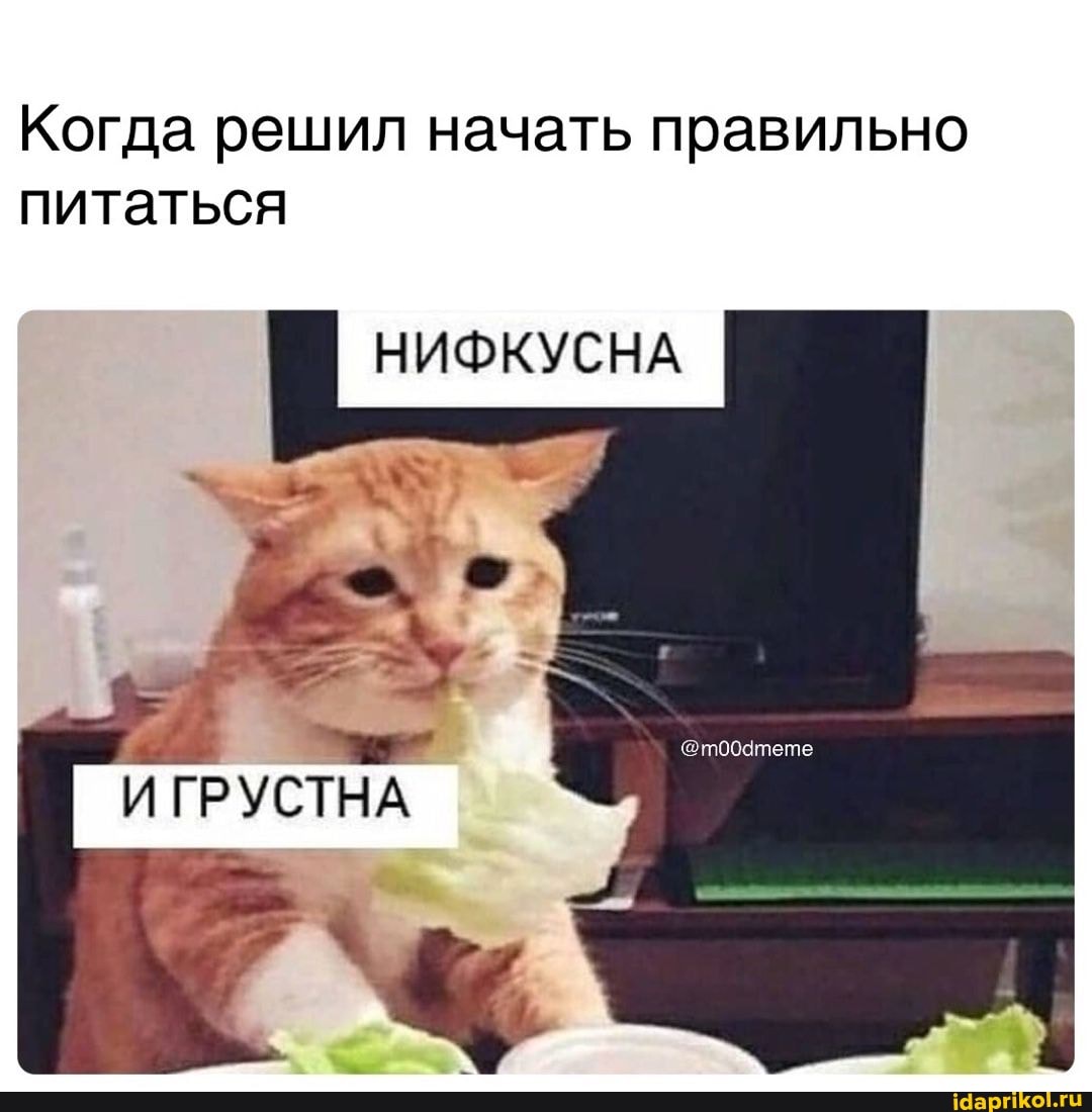 Когда решил начать правильно питаться
НИФКУСНА
И ГРУСТНА