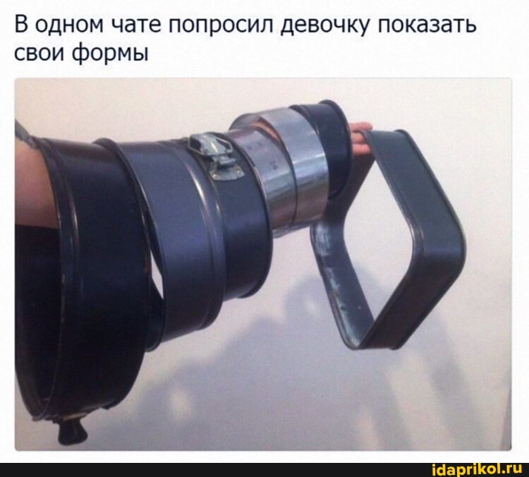 В одном чате попросил девочку показать свои формы